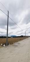 Puede ser una imagen de césped y carretera