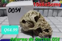 Puede ser una imagen de hueso y texto que dice "0054 10x6x5cms Q64.99 Adorno de Recina 054"